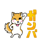 実家犬モミジちゃん第2弾（個別スタンプ：17）