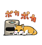 実家犬モミジちゃん第2弾（個別スタンプ：18）