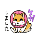 実家犬モミジちゃん第2弾（個別スタンプ：22）