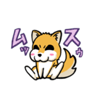 実家犬モミジちゃん第2弾（個別スタンプ：23）