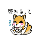 実家犬モミジちゃん第2弾（個別スタンプ：24）