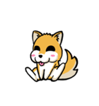 実家犬モミジちゃん第2弾（個別スタンプ：25）