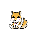 実家犬モミジちゃん第2弾（個別スタンプ：26）