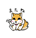 実家犬モミジちゃん第2弾（個別スタンプ：27）