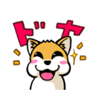 実家犬モミジちゃん第2弾（個別スタンプ：29）
