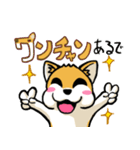 実家犬モミジちゃん第2弾（個別スタンプ：30）