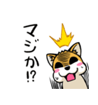 実家犬モミジちゃん第2弾（個別スタンプ：31）