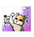 実家犬モミジちゃん第2弾（個別スタンプ：39）