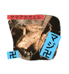 日本の両棲類スタンプα（個別スタンプ：14）