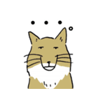 気持ちを伝える動物たち（個別スタンプ：15）