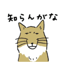 気持ちを伝える動物たち（個別スタンプ：16）