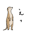 気持ちを伝える動物たち（個別スタンプ：25）