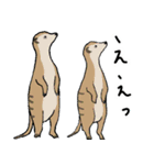 気持ちを伝える動物たち（個別スタンプ：26）