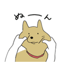 気持ちを伝える動物たち（個別スタンプ：29）