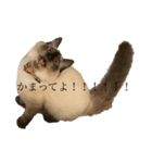 みつを。と幸子（個別スタンプ：2）