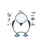 アオアシカツオドリさんのスタンプ（個別スタンプ：3）