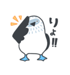 アオアシカツオドリさんのスタンプ（個別スタンプ：27）