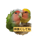 kawafamily5（個別スタンプ：1）