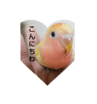 kawafamily5（個別スタンプ：7）
