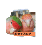 kawafamily5（個別スタンプ：9）