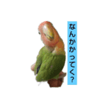 kawafamily5（個別スタンプ：10）