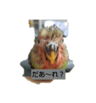 kawafamily5（個別スタンプ：12）