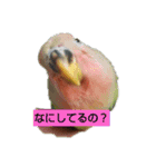kawafamily5（個別スタンプ：13）