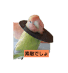 kawafamily5（個別スタンプ：16）
