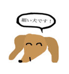 使いやすい！ワンちゃんスタンプ！（個別スタンプ：33）