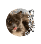 くまとハレっち（個別スタンプ：6）