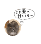 くまとハレっち（個別スタンプ：16）