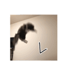 くまとハレっち（個別スタンプ：34）