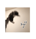 くまとハレっち（個別スタンプ：37）