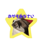 ふぇれはむず5（個別スタンプ：2）