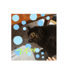 ふぇれはむず5（個別スタンプ：3）