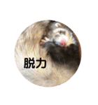 ふぇれはむず5（個別スタンプ：4）