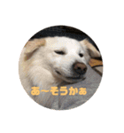 ふぇれはむず5（個別スタンプ：6）