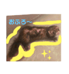 ふぇれはむず5（個別スタンプ：8）