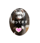 ふぇれはむず5（個別スタンプ：12）