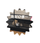 ふぇれはむず5（個別スタンプ：16）