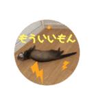 ふぇれはむず5（個別スタンプ：17）