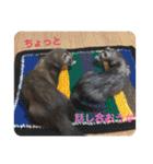 ふぇれはむず5（個別スタンプ：19）