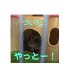 ふぇれはむず5（個別スタンプ：28）