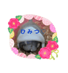 ふぇれはむず5（個別スタンプ：29）