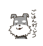 もふもふシュナウザー（個別スタンプ：3）