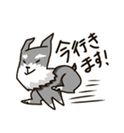 もふもふシュナウザー（個別スタンプ：14）