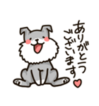 もふもふシュナウザー（個別スタンプ：16）