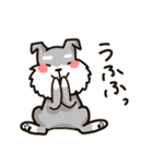 もふもふシュナウザー（個別スタンプ：35）