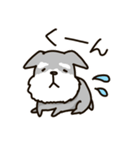 もふもふシュナウザー（個別スタンプ：37）