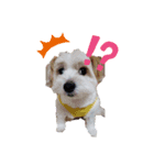 愛犬メイの日常2（個別スタンプ：2）